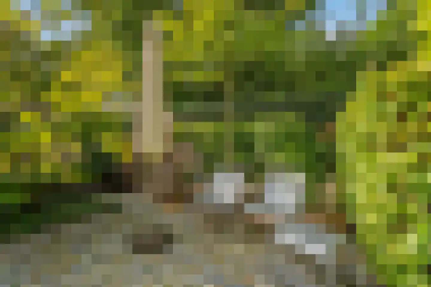 Stil Gezicht 7 Delft thumbnail 22