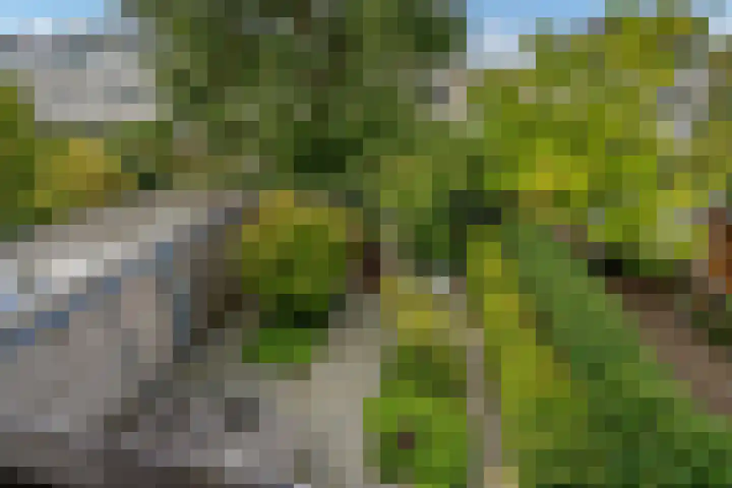 Stil Gezicht 7 Delft thumbnail 6