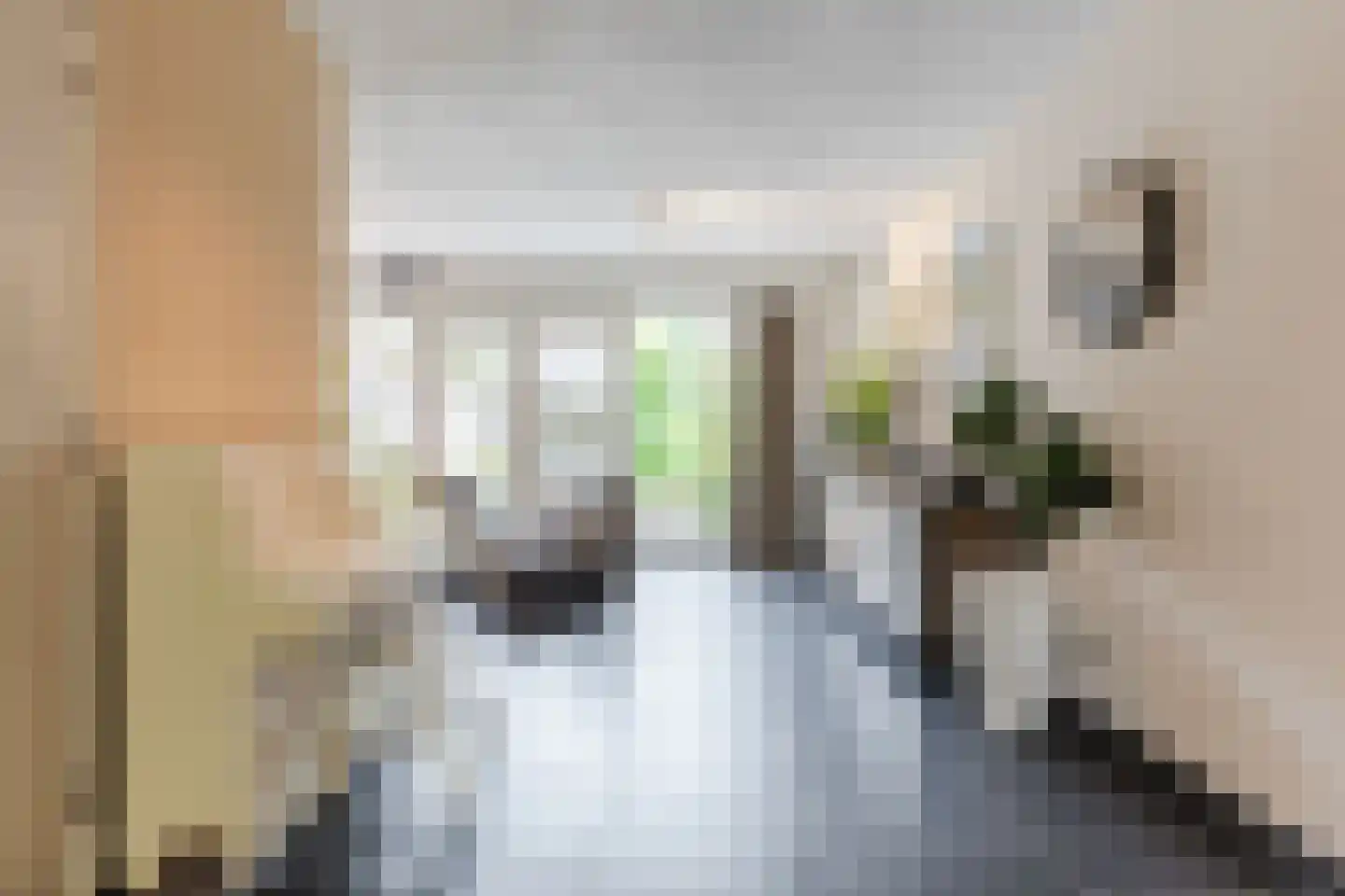 Stille Omgang 14 Lepelstraat thumbnail 10