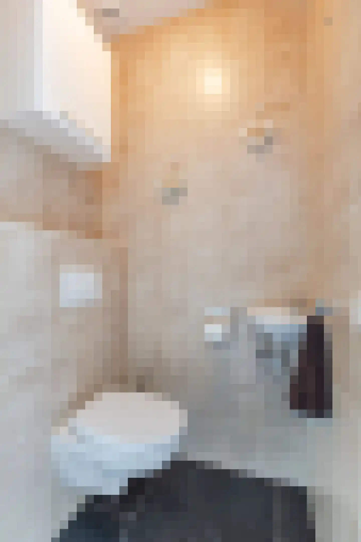 Stille Omgang 14 Lepelstraat thumbnail 18
