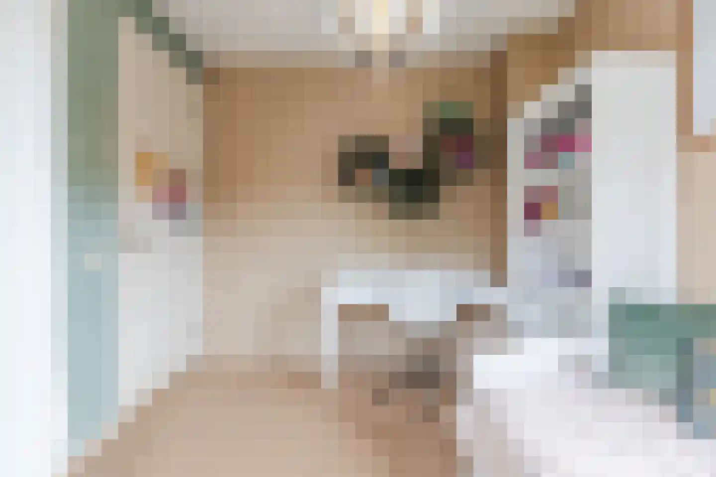 Stille Omgang 14 Lepelstraat thumbnail 27