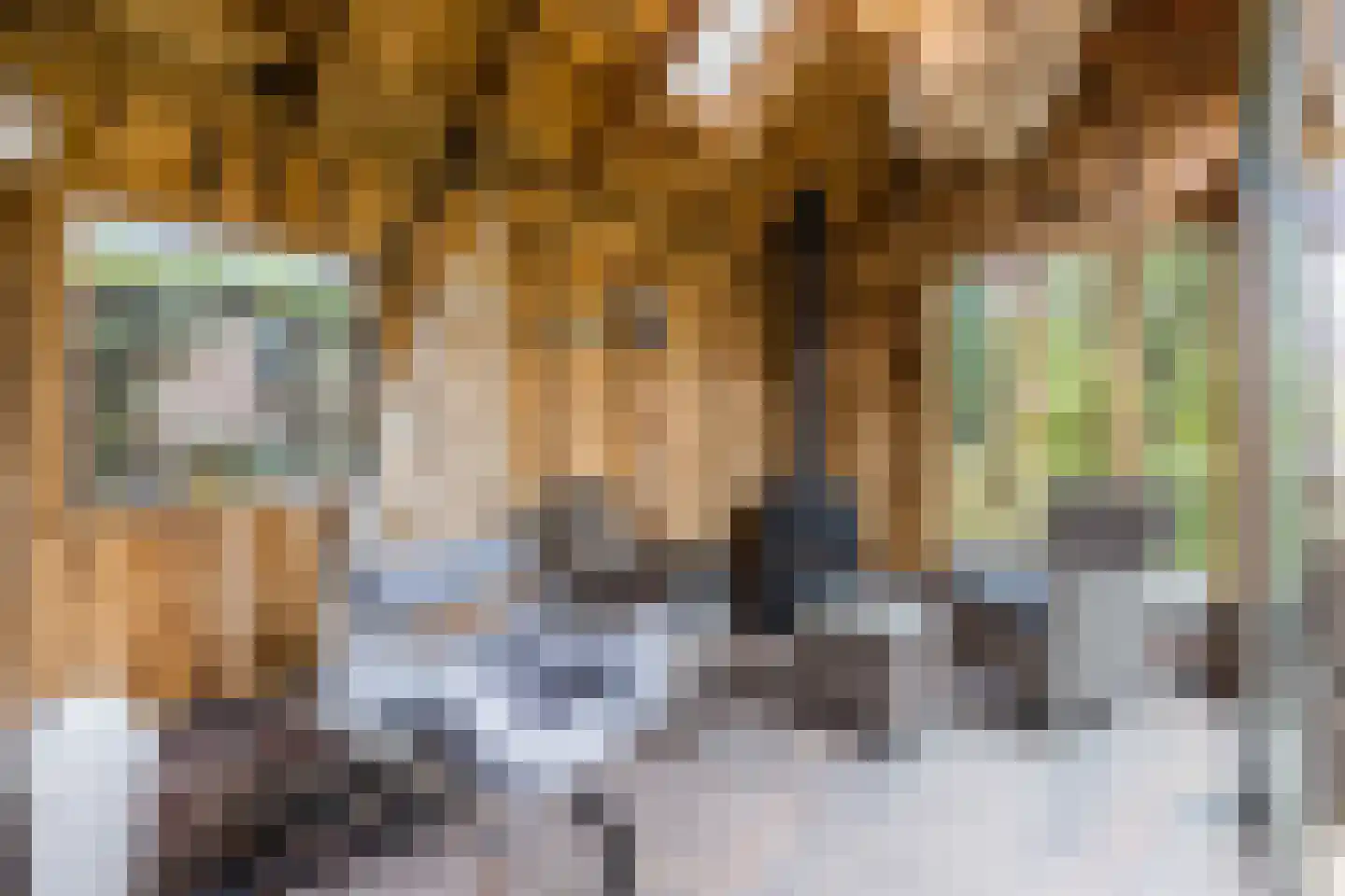 Stille Omgang 14 Lepelstraat thumbnail 44