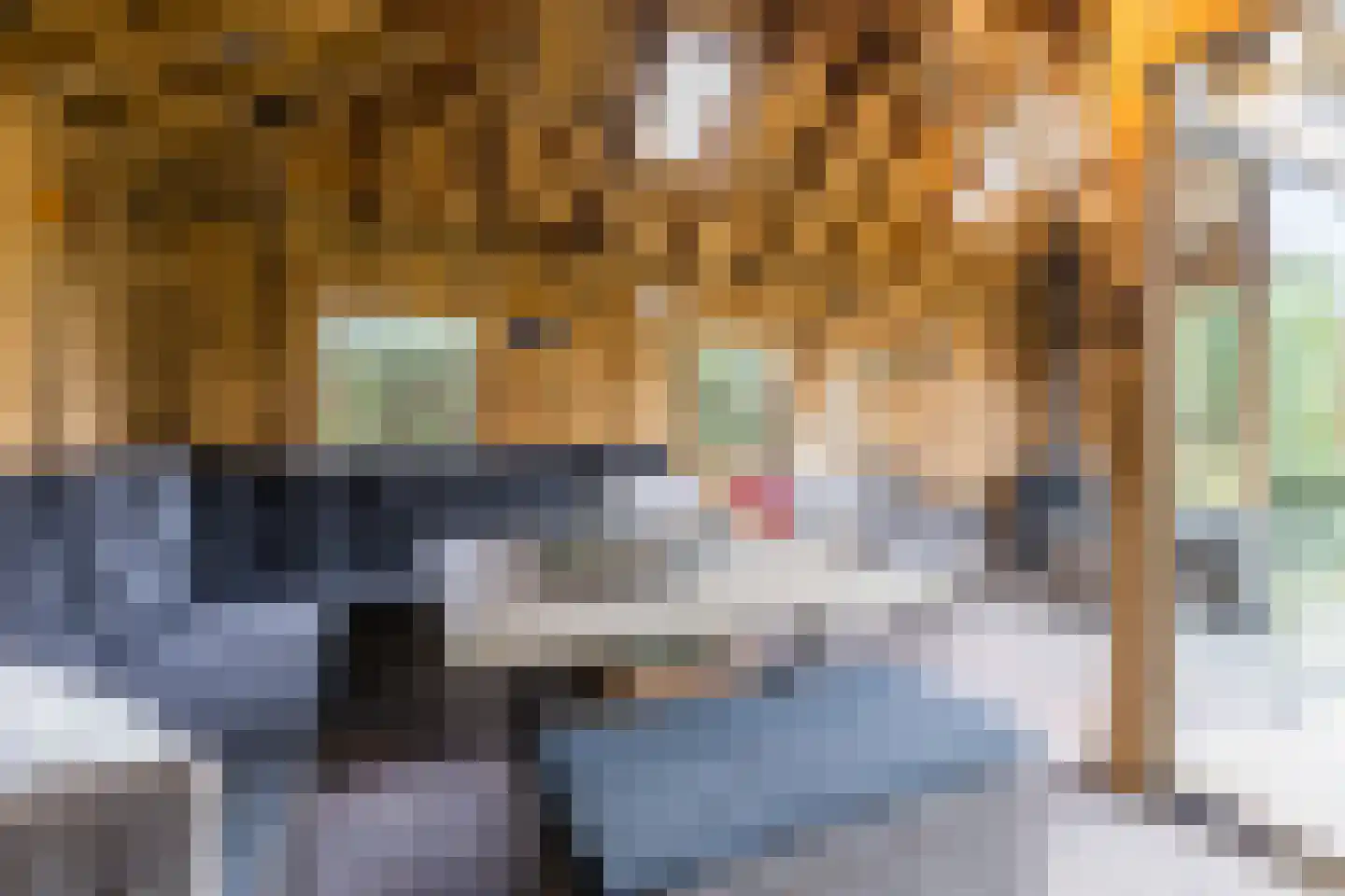 Stille Omgang 14 Lepelstraat thumbnail 45