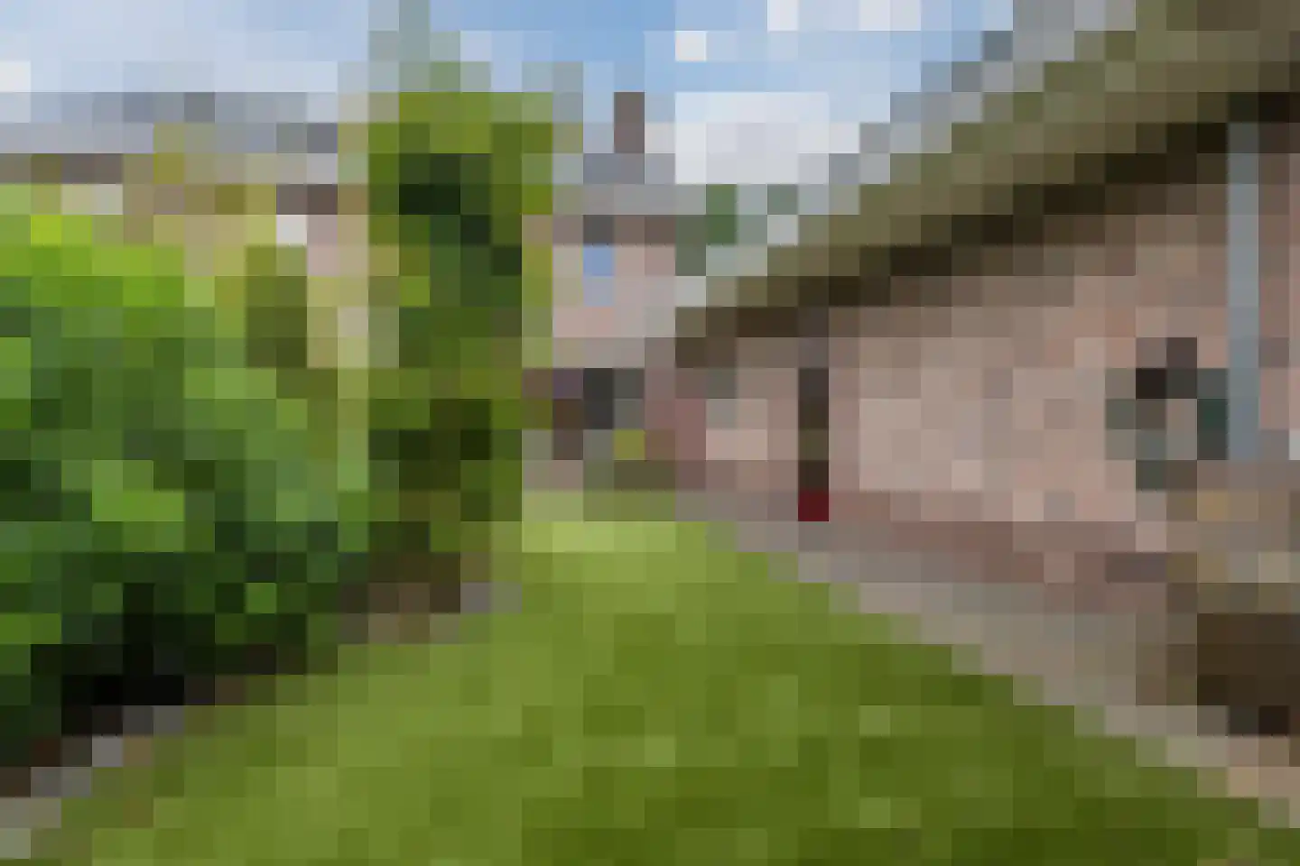 Stille Omgang 14 Lepelstraat thumbnail 46
