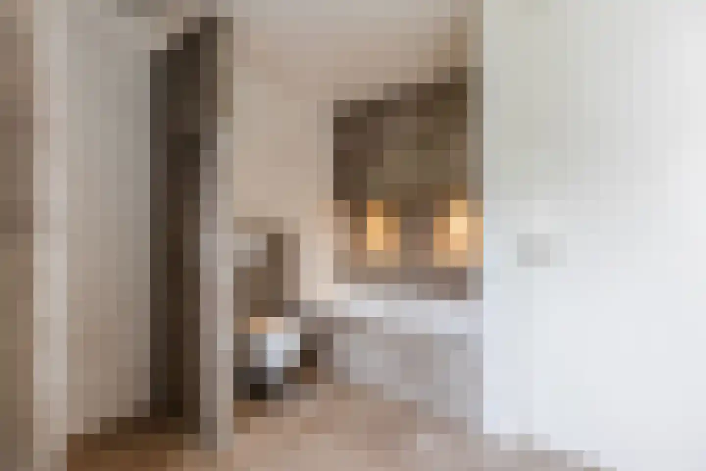 Stille Omgang 14 Lepelstraat thumbnail 5