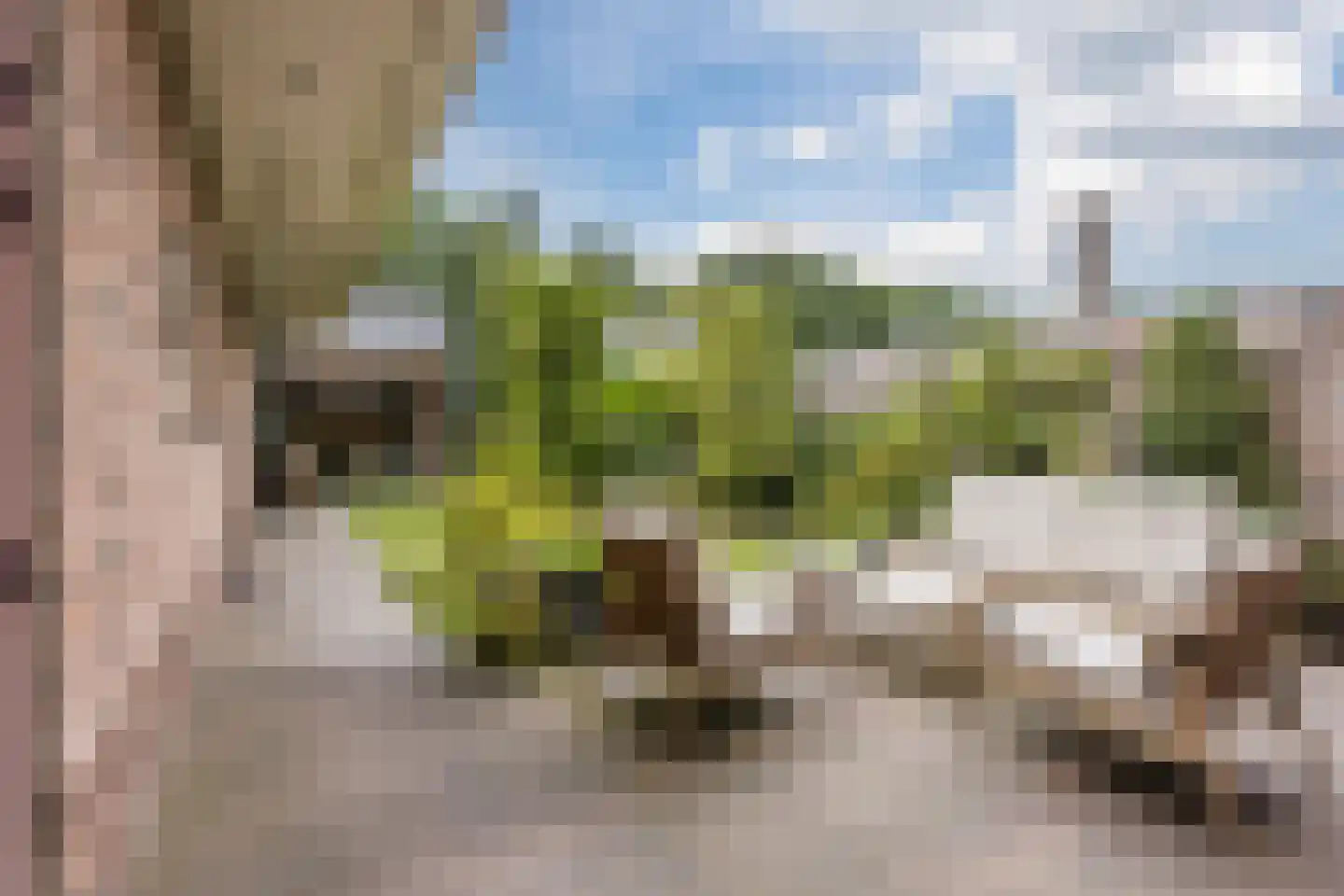 Stille Omgang 14 Lepelstraat thumbnail 6