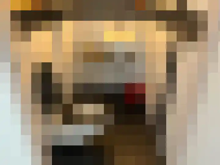 Stille Putten 54 Delft thumbnail 6