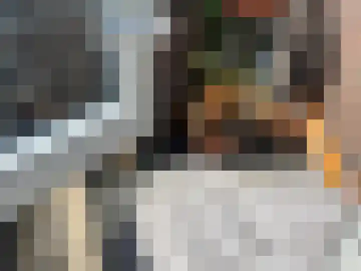 Stille Putten 54 Delft thumbnail 9