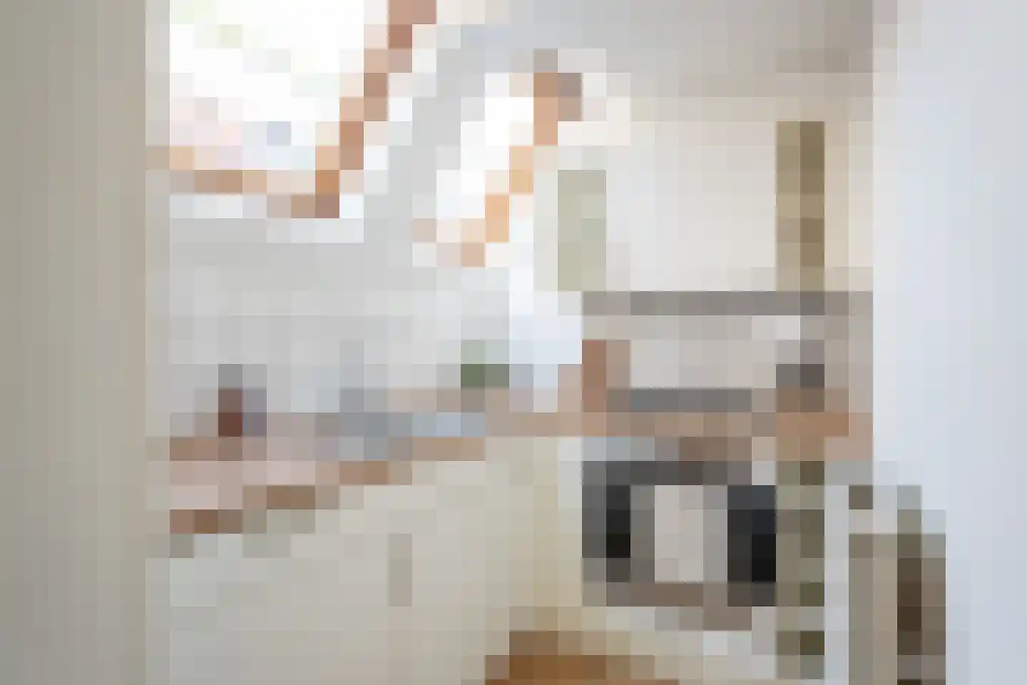 Stille Rijn 14 B Leiden thumbnail 18