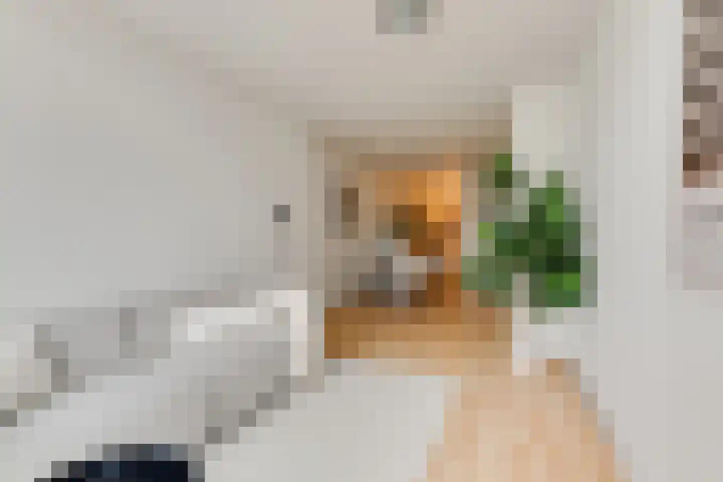 Stille Rijn 14 Leiden thumbnail 10