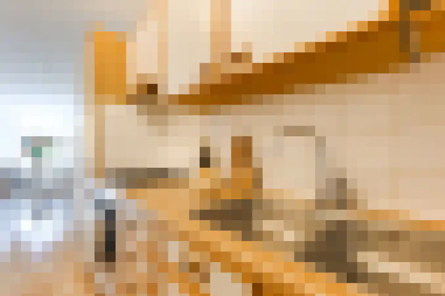 Stille Rijn 14 Leiden thumbnail 13