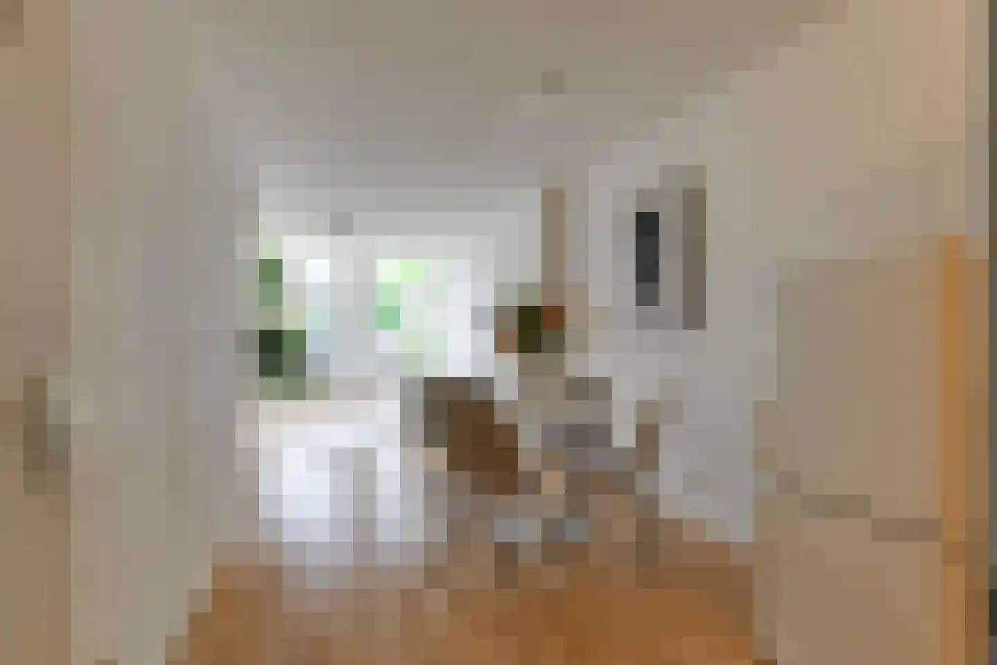 Stille Rijn 14 Leiden thumbnail 5