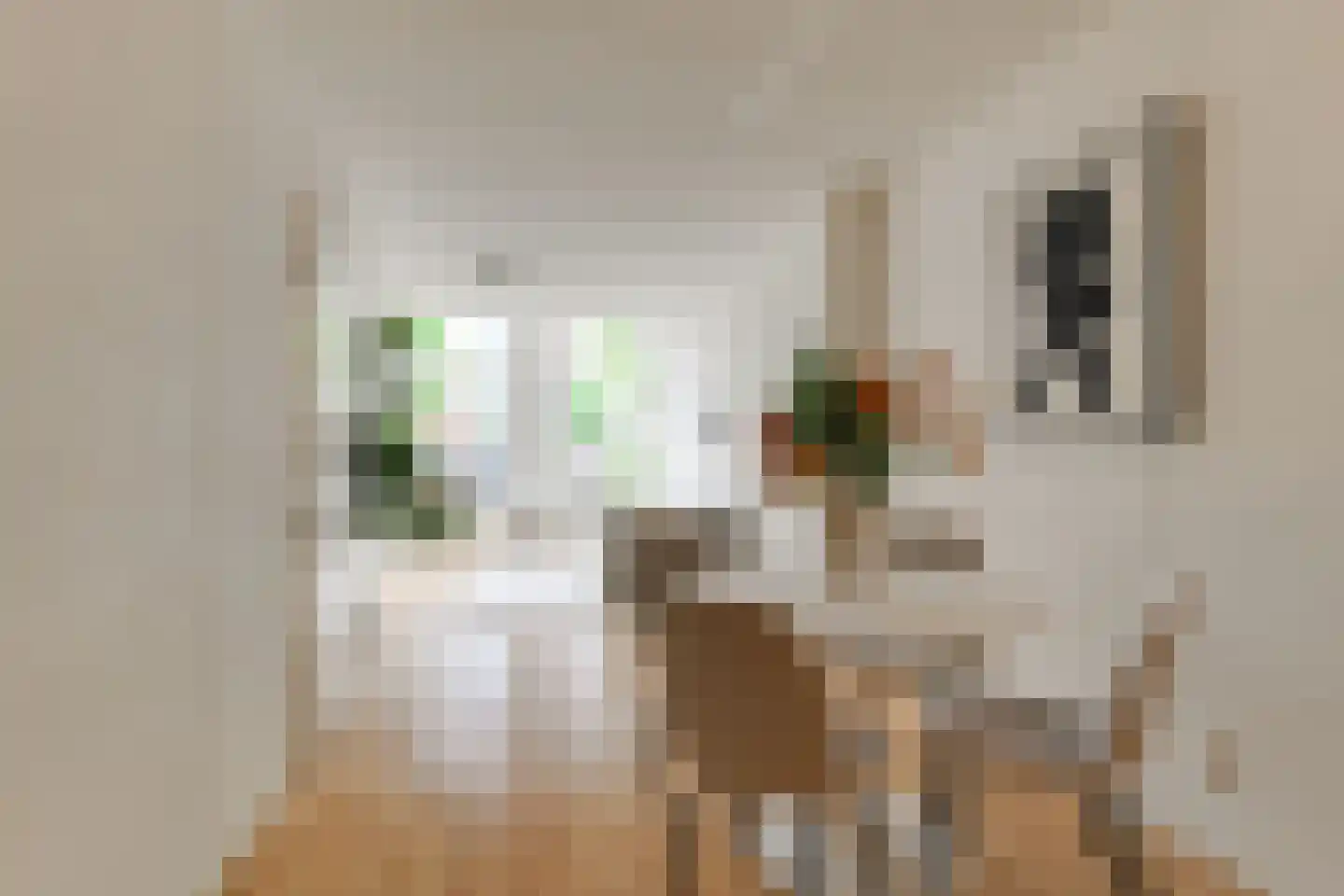 Stille Rijn 14 Leiden thumbnail 6