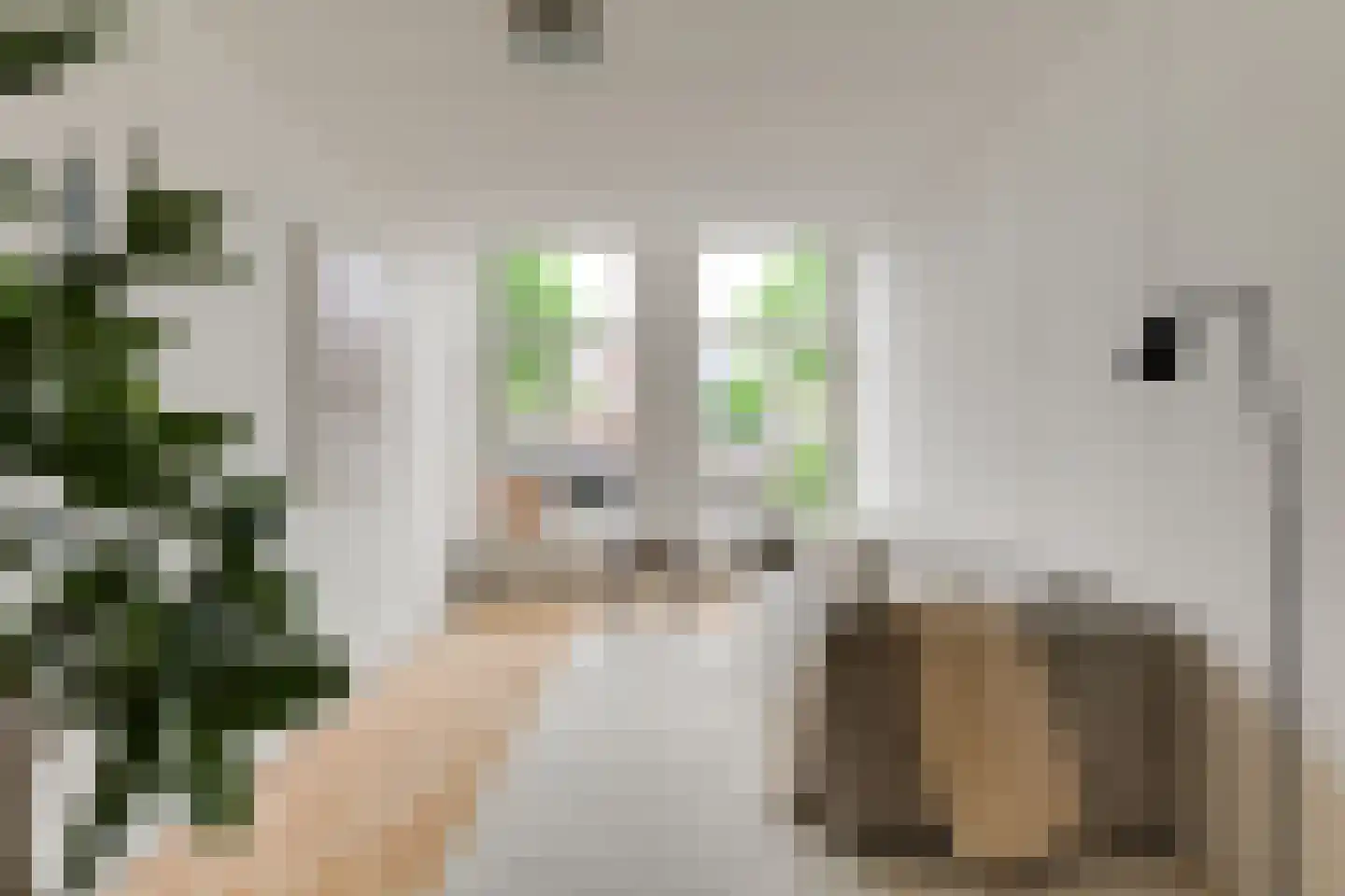 Stille Rijn 14 Leiden thumbnail 7