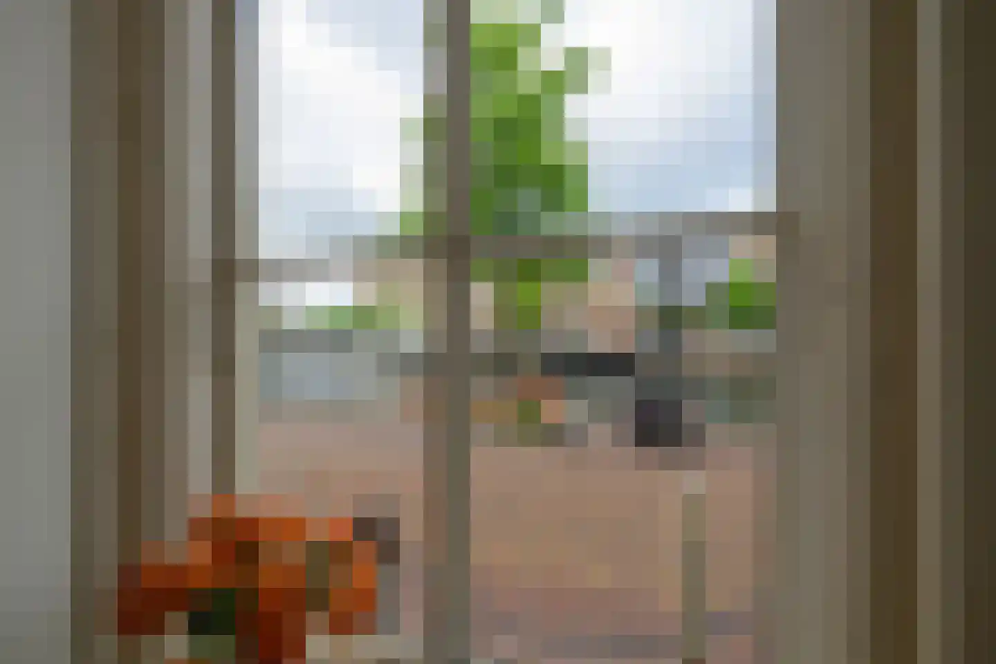 Stille Rijn 14 Leiden thumbnail 9