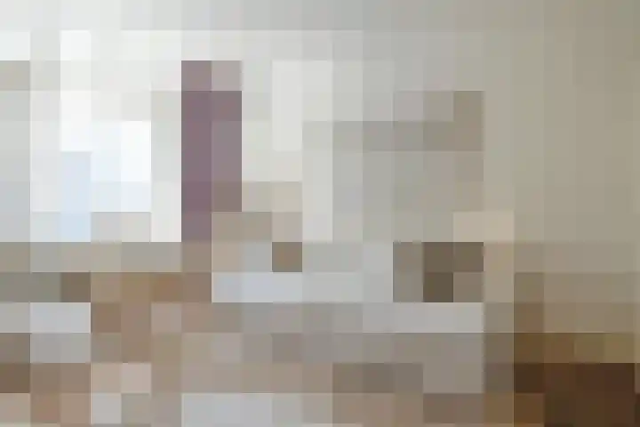 Stille Rijn 16 Leiden thumbnail 20