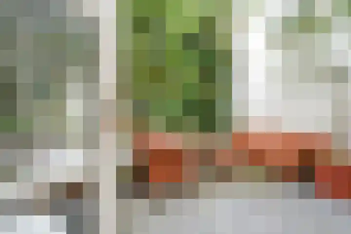 Stille Rijn 16 Leiden thumbnail 27