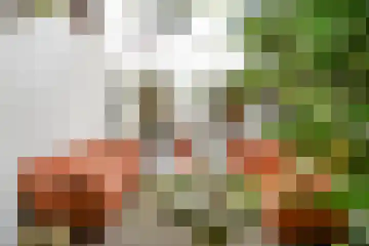 Stille Rijn 16 Leiden thumbnail 28