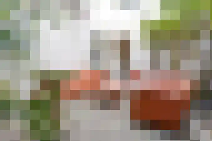 Stille Rijn 16 Leiden thumbnail 30