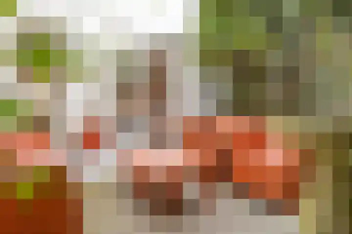 Stille Rijn 16 Leiden thumbnail 31