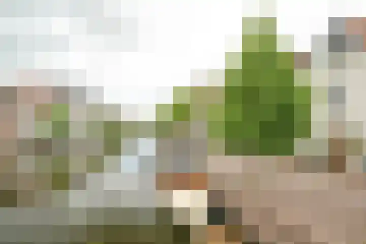 Stille Rijn 16 Leiden thumbnail 4