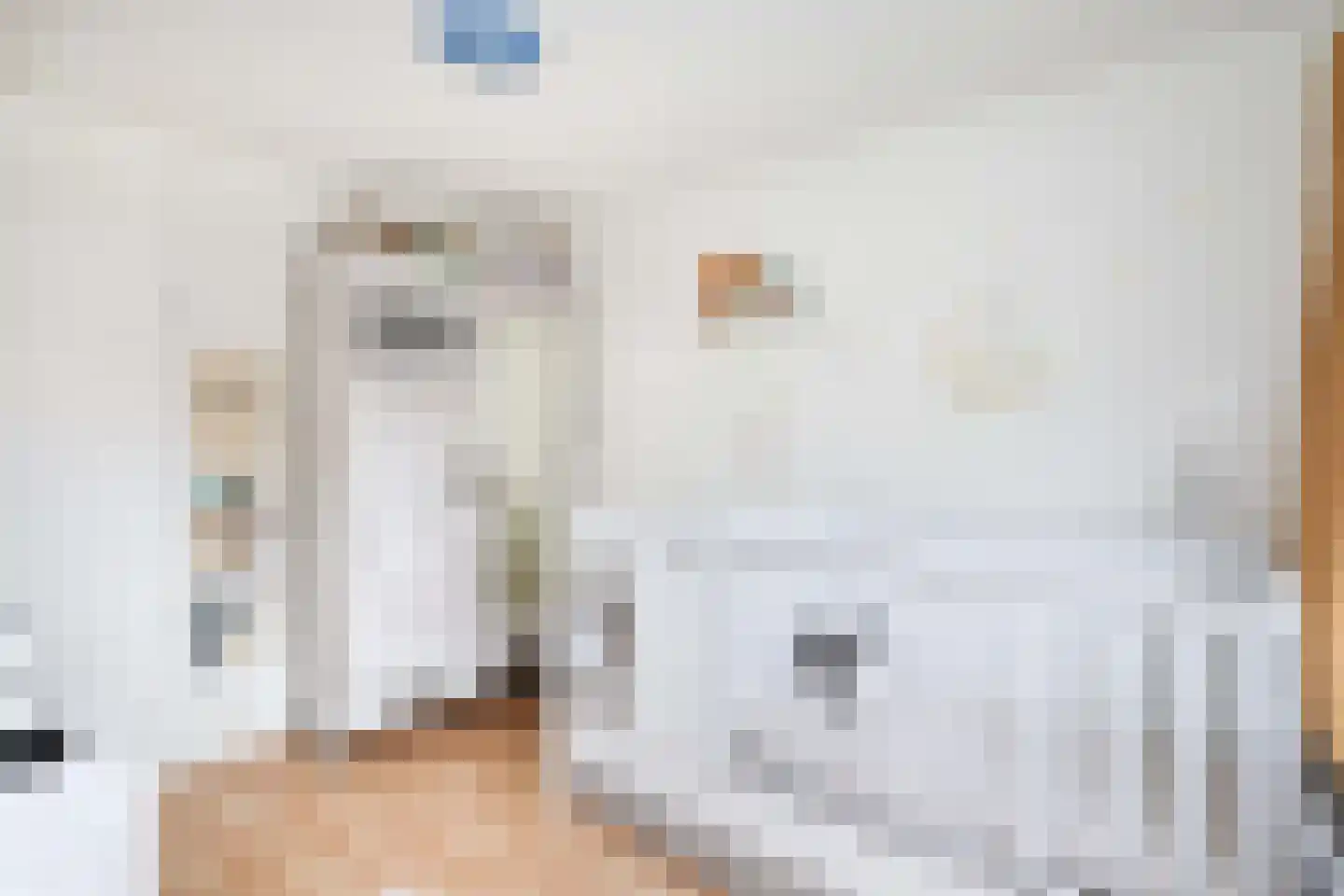 Stille Steeg Oost 43 Amersfoort thumbnail 17
