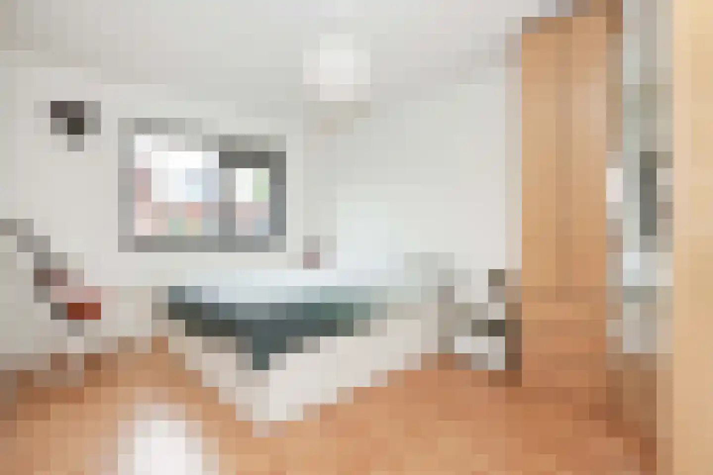 Stille Steeg Oost 43 Amersfoort thumbnail 18