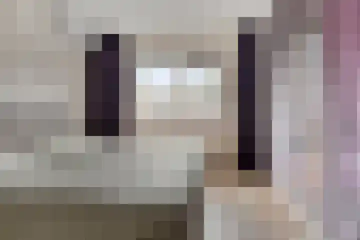 Stille Steeg Oost 44 Amersfoort thumbnail 18
