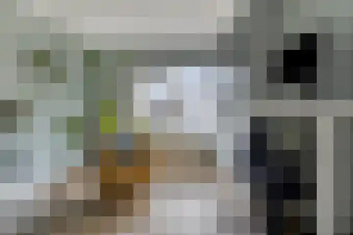 Stille Steeg Oost 44 Amersfoort thumbnail 19