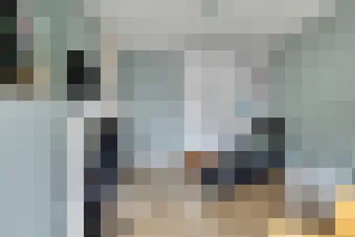 Stille Steeg Oost 44 Amersfoort thumbnail 26