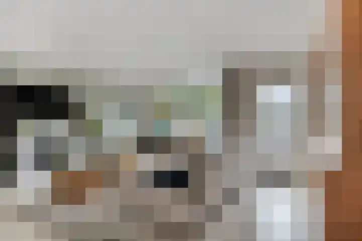 Stille Steeg Oost 44 Amersfoort thumbnail 4