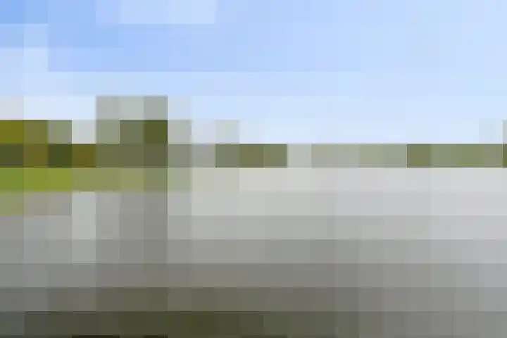 Stille Steeg Oost 44 Amersfoort thumbnail 40