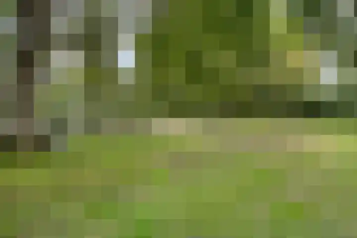 Stille Steeg Oost 44 Amersfoort thumbnail 43