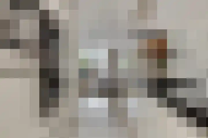 Stille Steeg Oost 44 Amersfoort thumbnail 9