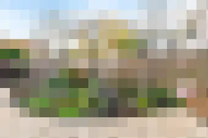 Stille Steeg Oost 47 Amersfoort thumbnail 21