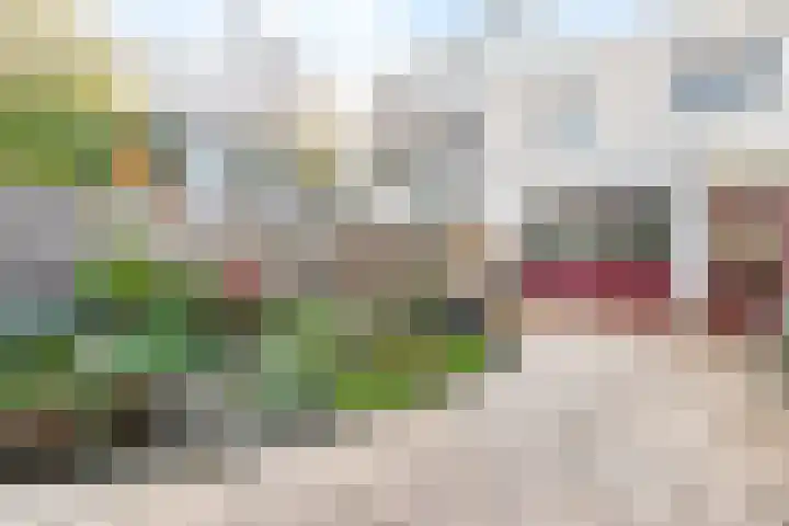 Stille Steeg Oost 47 Amersfoort thumbnail 22
