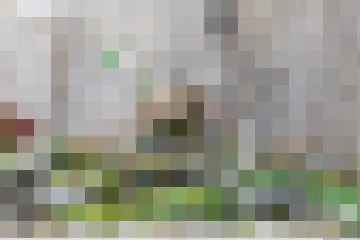 Stille Steeg Oost 47 Amersfoort thumbnail 38