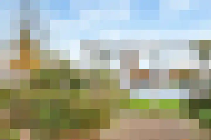 Stille Steeg Oost 47 Amersfoort thumbnail 42