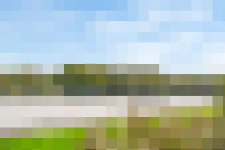 Stille Steeg Oost 47 Amersfoort thumbnail 43