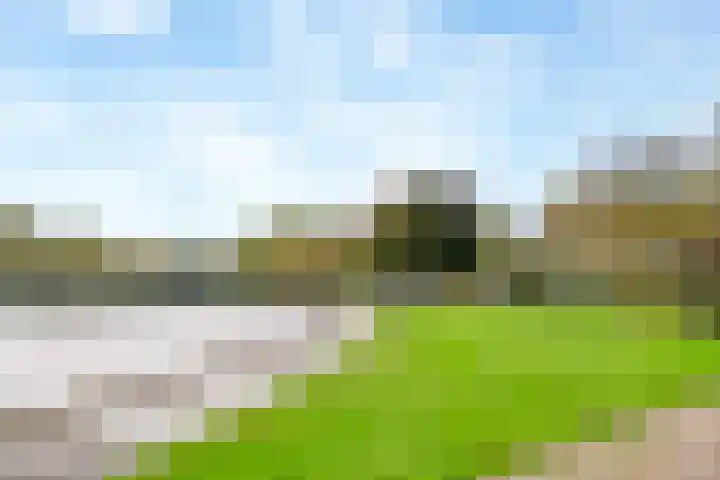 Stille Steeg Oost 47 Amersfoort thumbnail 44