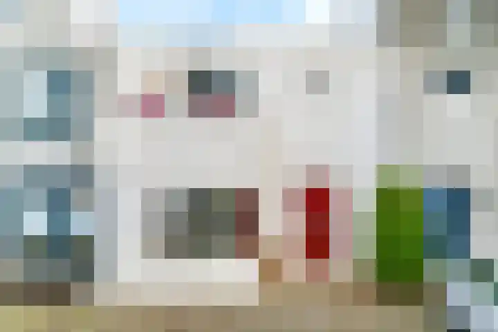 Stille Steeg Oost 47 Amersfoort thumbnail 6