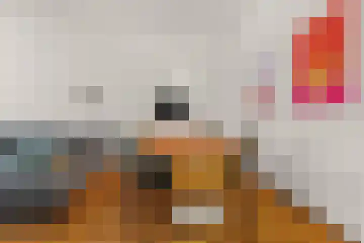 Stille Veerkade 3 Den Haag thumbnail 11