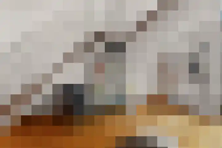 Stille Veerkade 3 Den Haag thumbnail 13