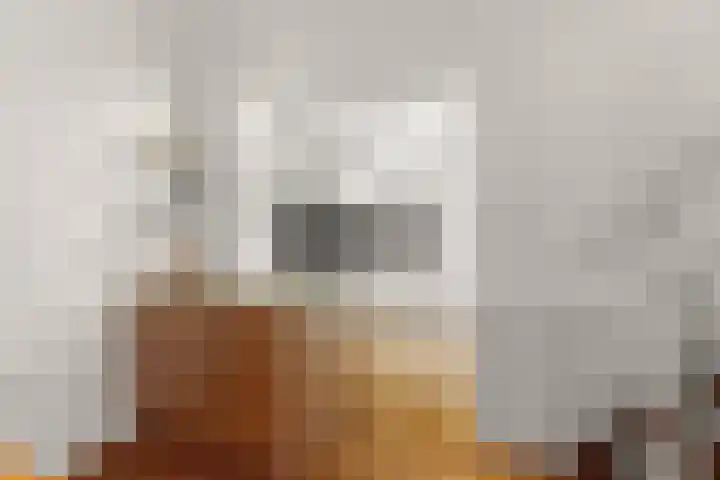 Stille Veerkade 3 Den Haag thumbnail 15