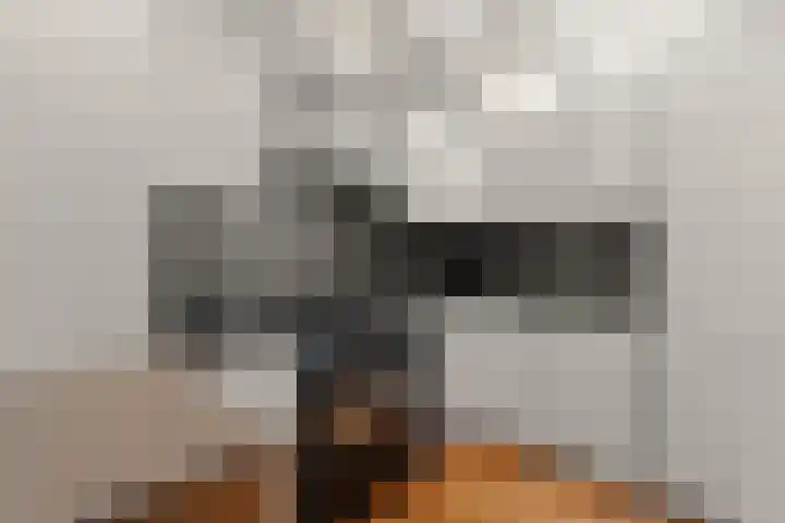 Stille Veerkade 3 Den Haag thumbnail 17
