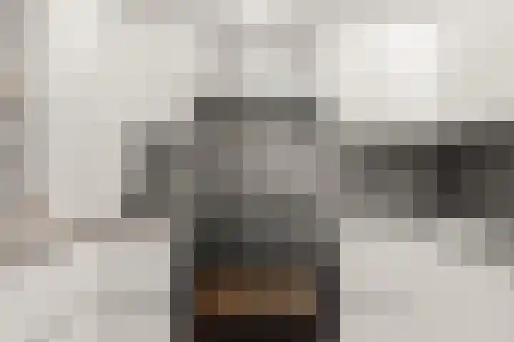 Stille Veerkade 3 Den Haag thumbnail 18