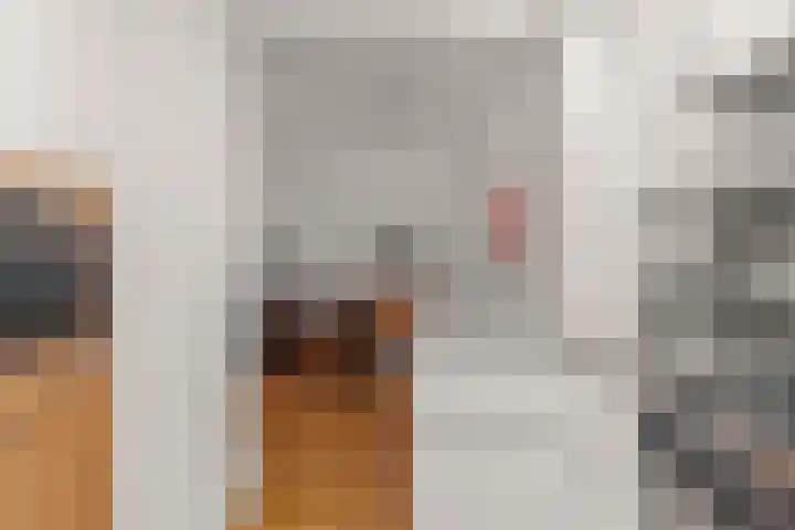 Stille Veerkade 3 Den Haag thumbnail 21