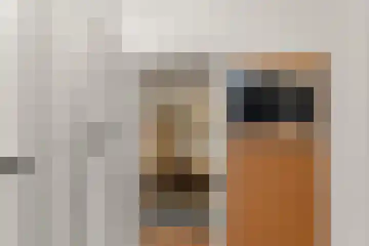 Stille Veerkade 3 Den Haag thumbnail 22