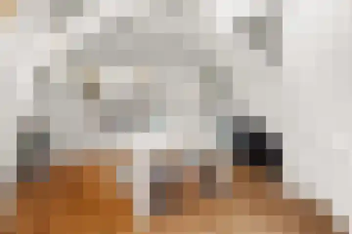 Stille Veerkade 3 Den Haag thumbnail 39