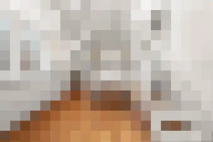 Stille Veerkade 3 Den Haag thumbnail 4